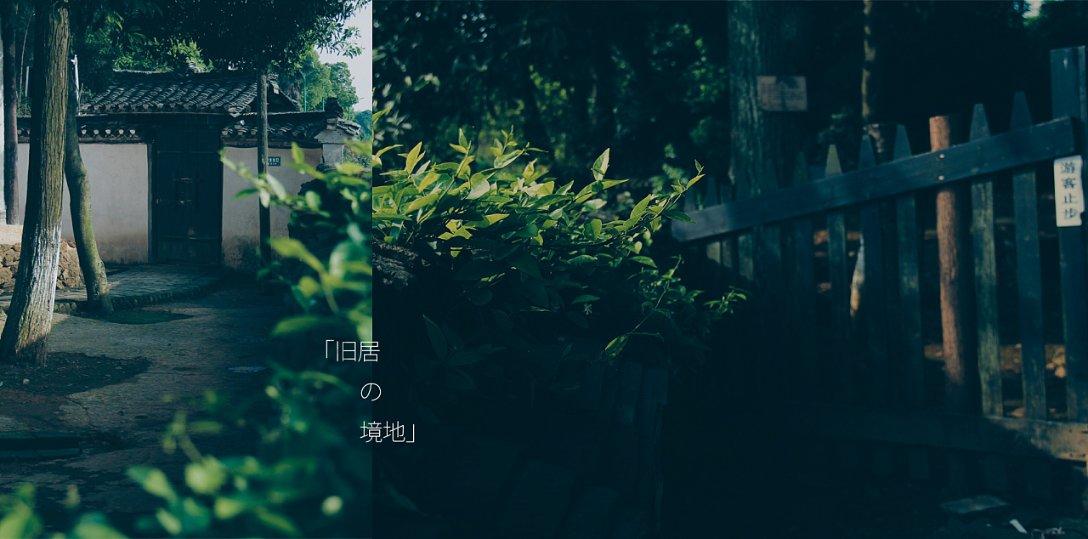 游戏画面